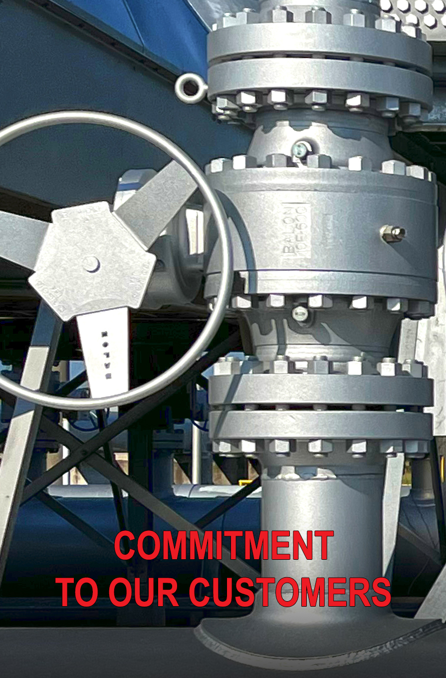 Single Trunnion Mounted Valve Image - Commitment to our customers